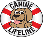 Elmwood K-Club Students Host Collection for Canines