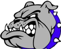 bulldog