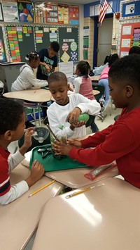 students learning about and making terrariums