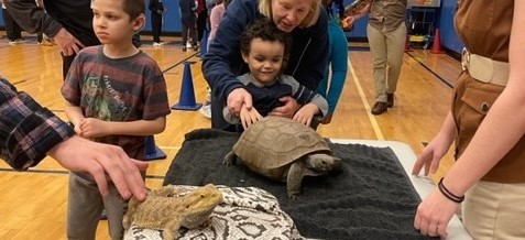PBIS - Realm of the reptile